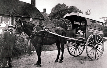 F J Newell and his horse and cart about 1905 [Z50/82/18]
